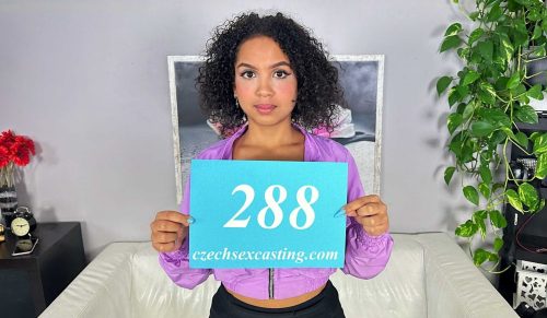 Czech Sex Casting 288 – Danii
